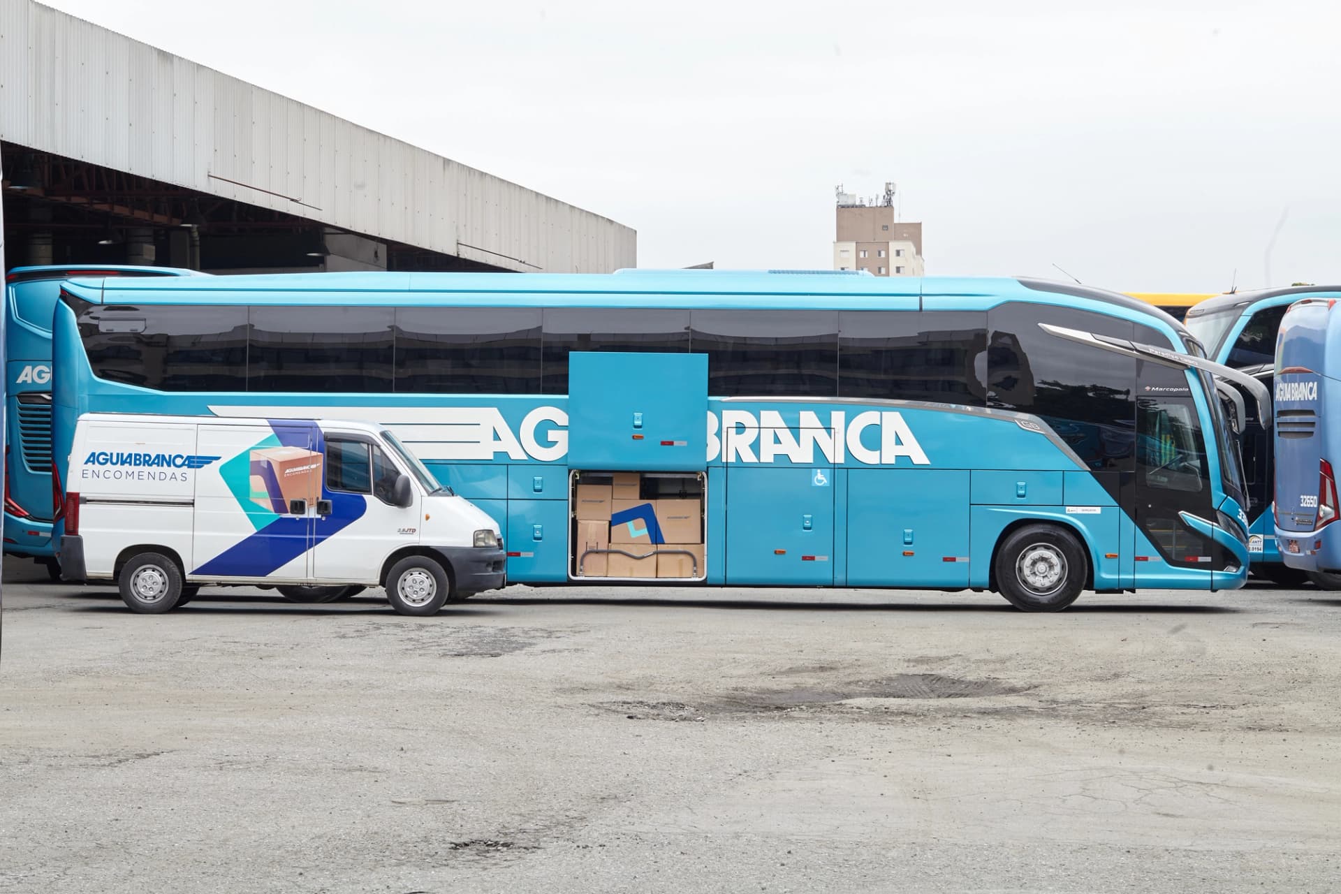 Picture of the author