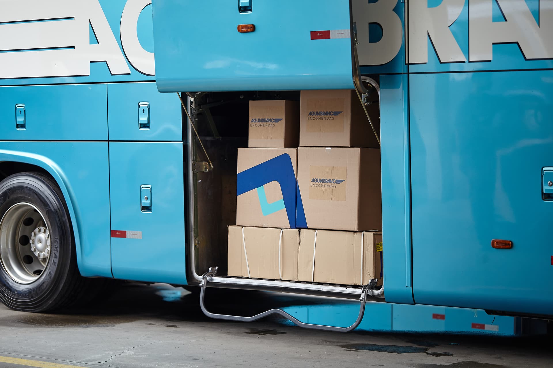 Picture of the author