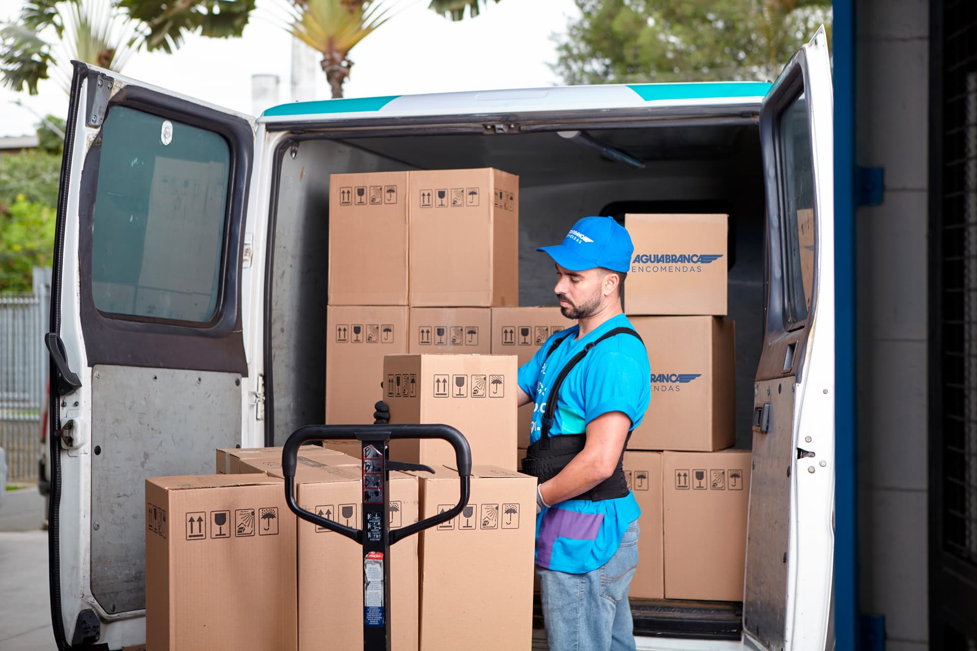 Picture of the author